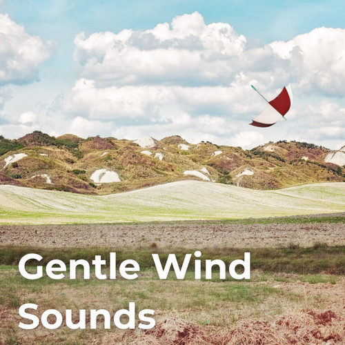 Gentle Wind Sounds