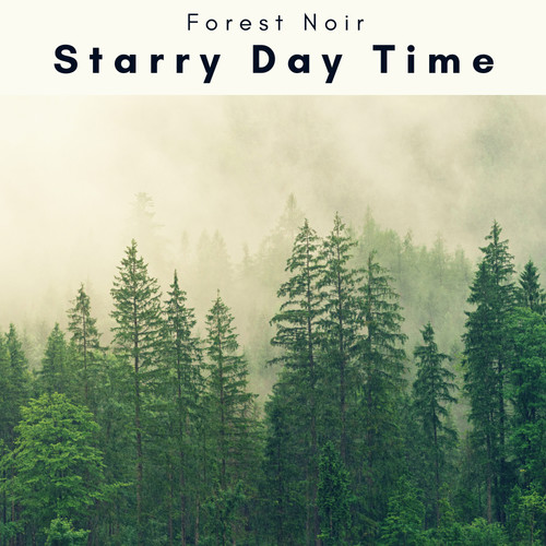 1 o 1 Starry Day Time