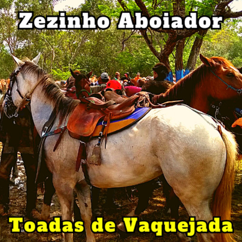 Toadas de Vaquejada