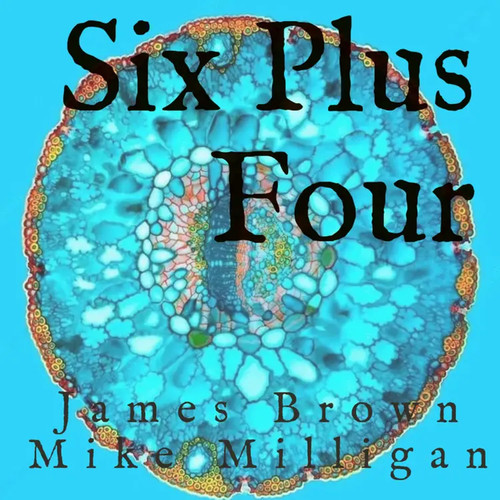 Six Plus Four