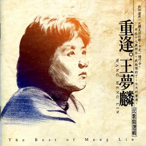 重逢 (王梦麟民歌精选辑)