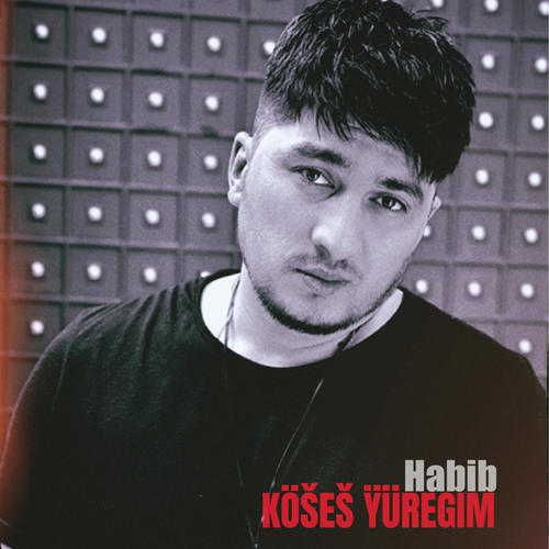 Habib (Kosesh yuregim)