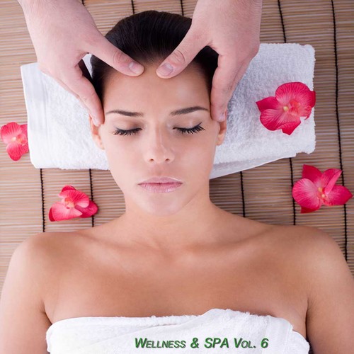 Wellness & Spa, Vol. 6