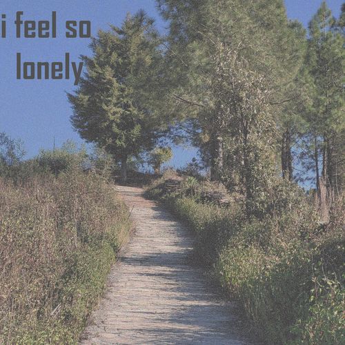 i feel so lonely