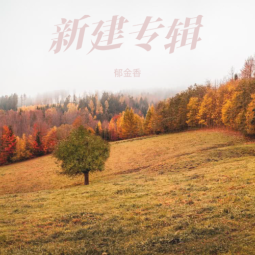 新建专辑