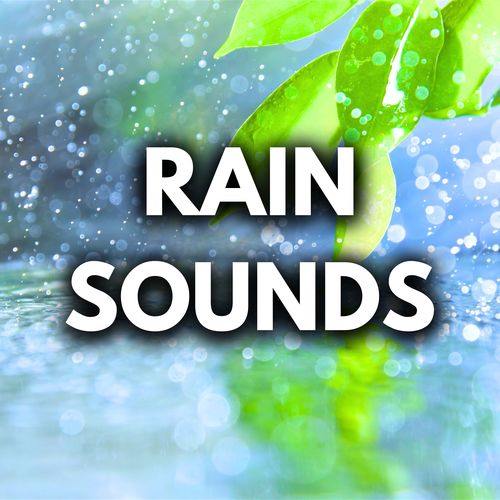 Rain Sounds For Sleeping 10 Hours (Loopable, No Fade)