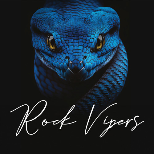 Rock Vipers (Explicit)