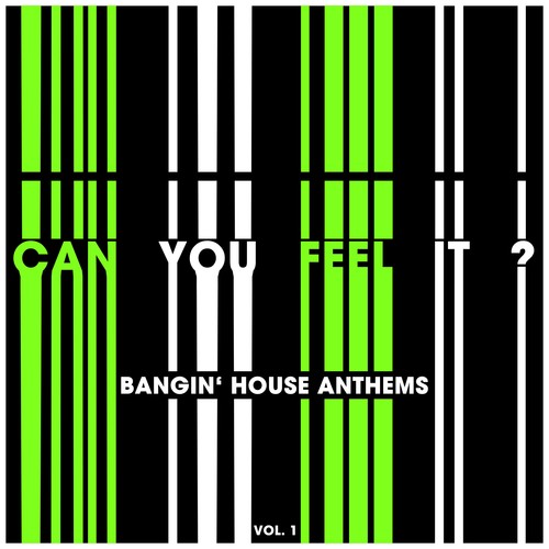 Can You Feel It? (Bangin House Anthems), Vol. 1