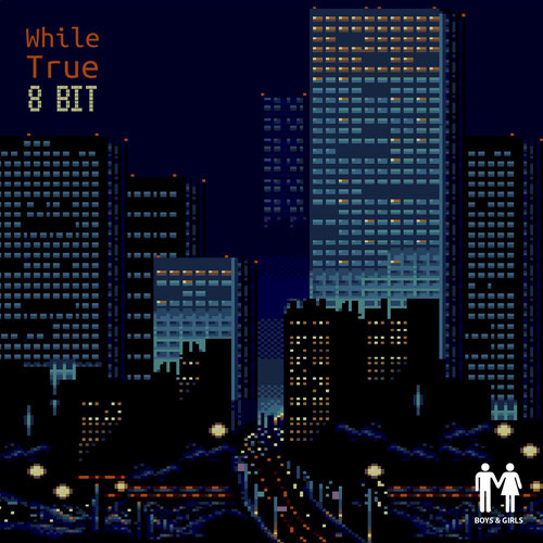 8 Bit