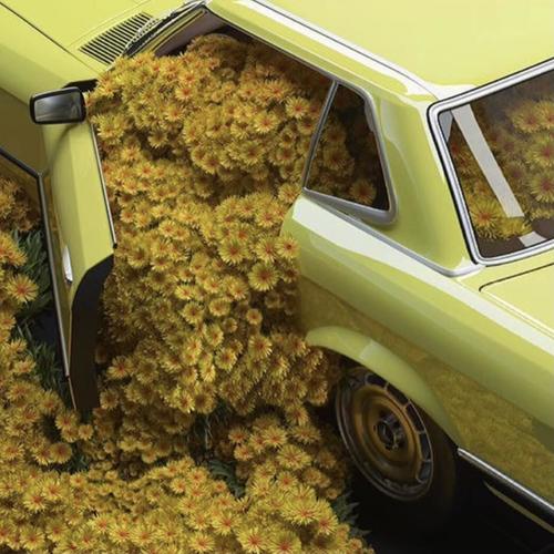谁送的花都一样