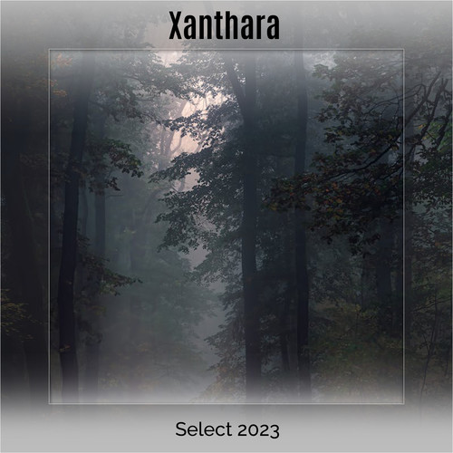 Xanthara