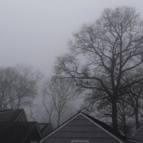 ashes in my lungs