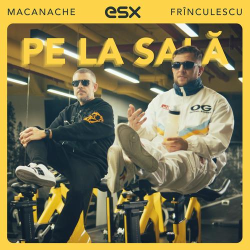 Pe la sala (feat. Frinculescu & ESX)