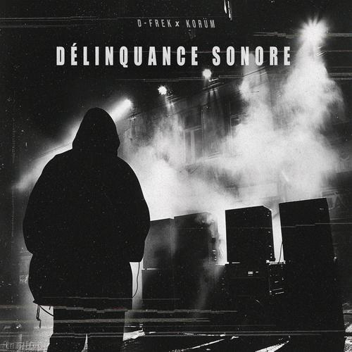 DÉLINQUANCE SONORE (Explicit)