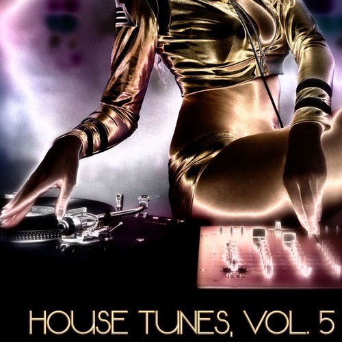 House Tunes, Vol. 5