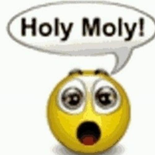 holy moly! (Explicit)