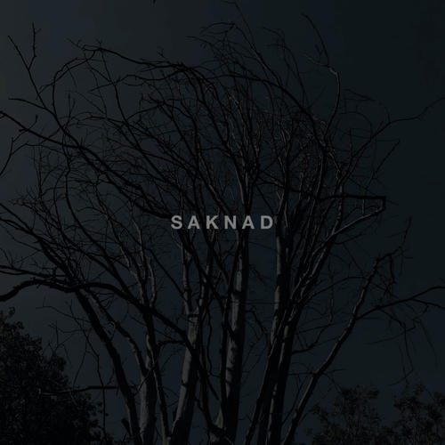 Saknad