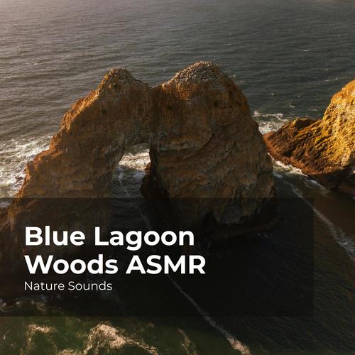 Blue Lagoon Woods ASMR