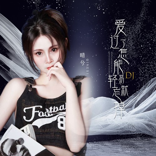 爱过了怎能轻易就忘掉（DJ女版）