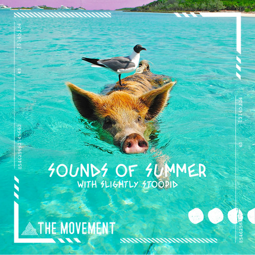 Sounds Of Summer