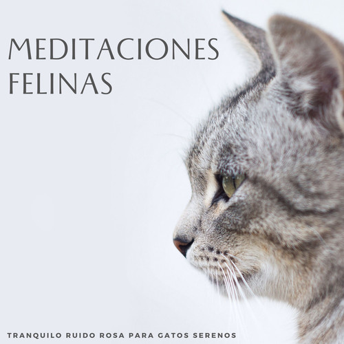 Meditaciones Felinas: Tranquilo Ruido Rosa Para Gatos Serenos