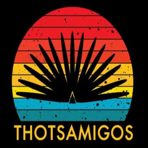 Thotsamigos (feat. Hasheesh Akballah) [Explicit]