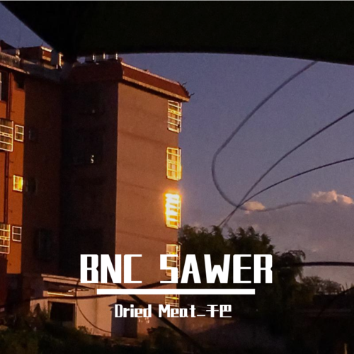 BNC SAWER