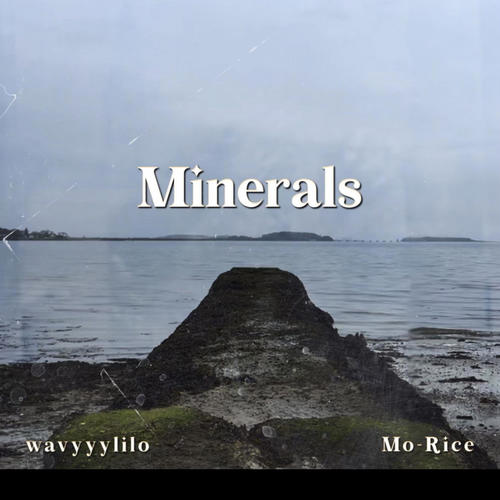 Minerals (feat. Mo-Rice) [Explicit]