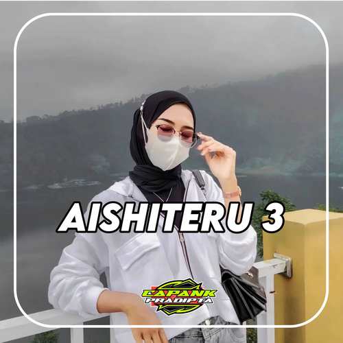 DJ Aishiteru 3 - Inst