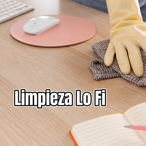 Limpieza LO FI