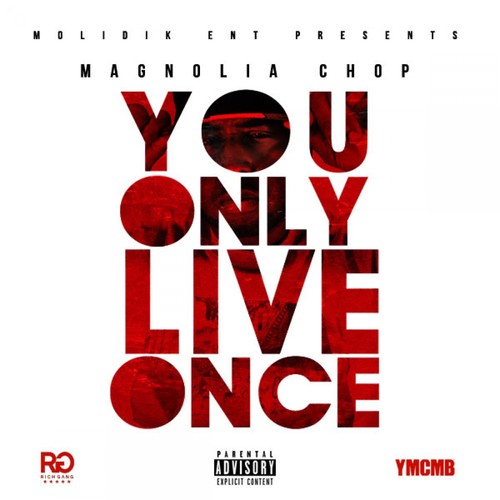 Y.O.L.O. (You Only Live Once) [Explicit]