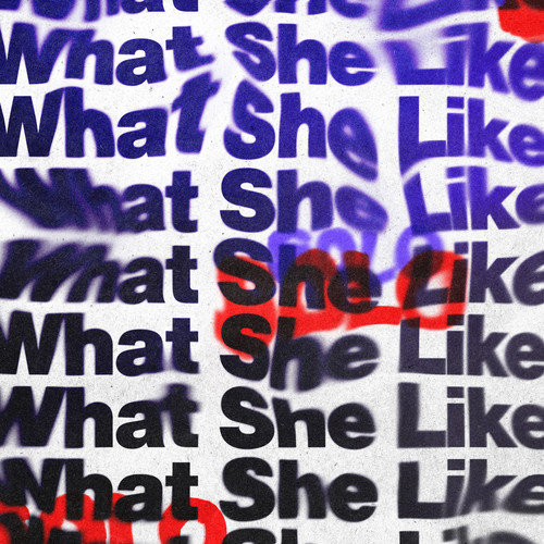 What She Like (feat. 808x) [Explicit]