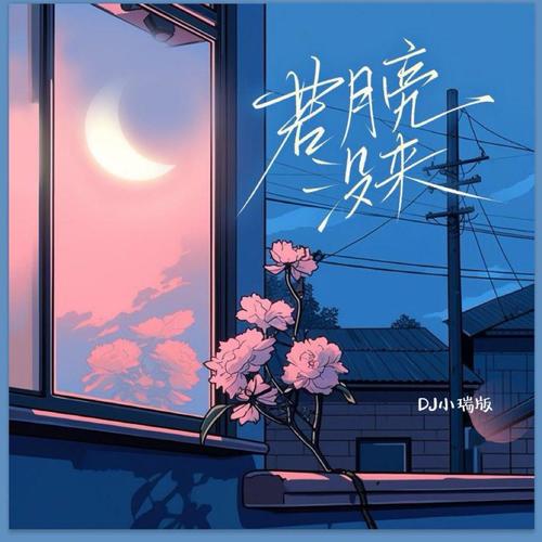 若月亮没来 (若是月亮还没来 DJ小瑞版)