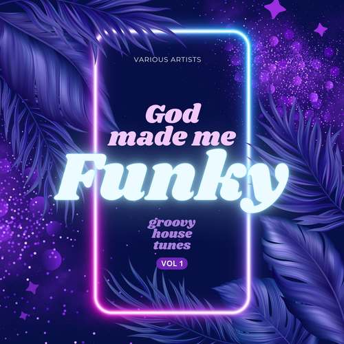 God Made Me Funky (Groovy House Tunes) , Vol. 1 [Explicit]