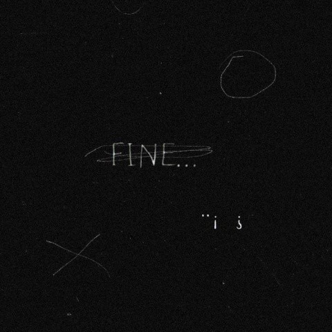 FINE...