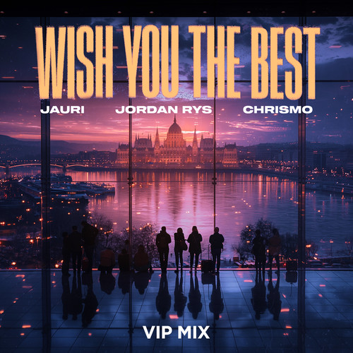 Wish You The Best (VIP Mix)