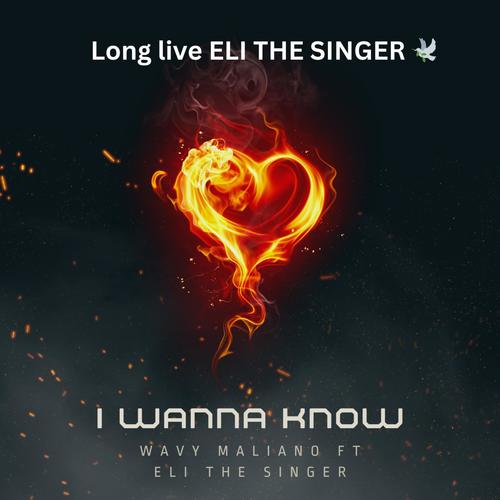 I WANNA KNOW (feat. Eli the singer) [Explicit]