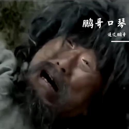鹏哥口琴-翻唱