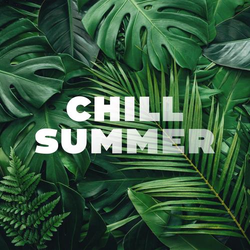 Chill Summer 2024 (Explicit)