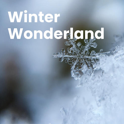 Winter Wonderland (Explicit)