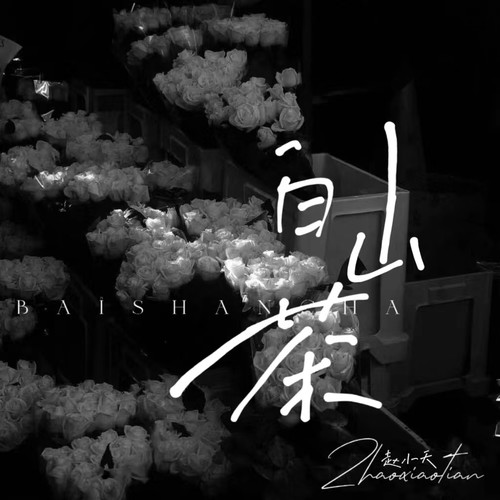 白山茶