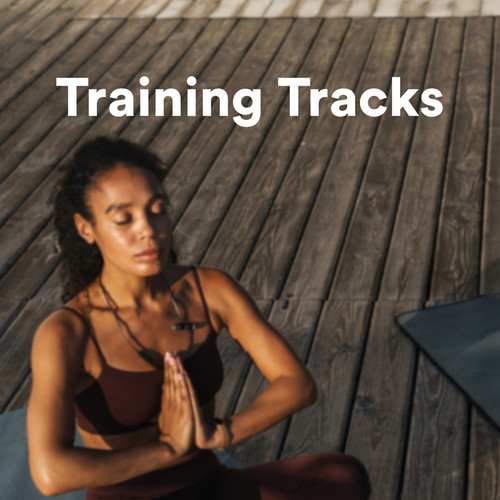 Training Tracks (Explicit)