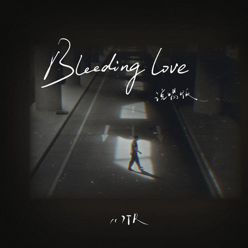 Bleeding Love (Remix)