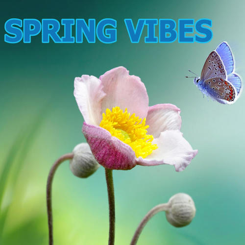 Spring Vibes (Explicit)