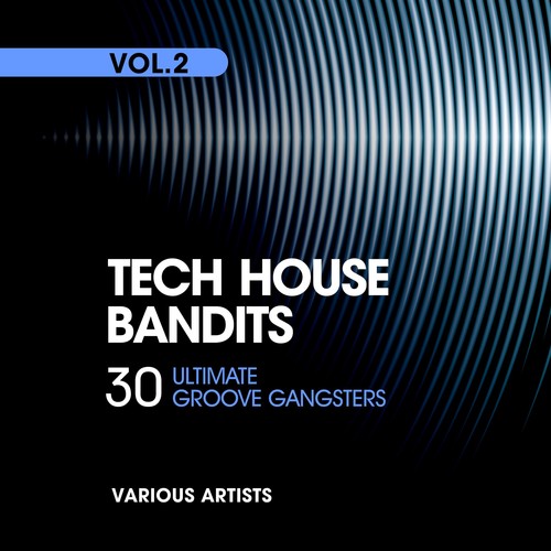 Tech House Bandits, Vol. 2 (30 Ultimate Groove Gangsters)