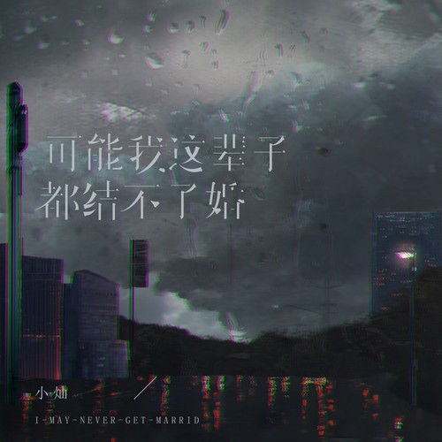 可能我这辈子都结不了婚