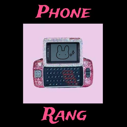 Phone rang