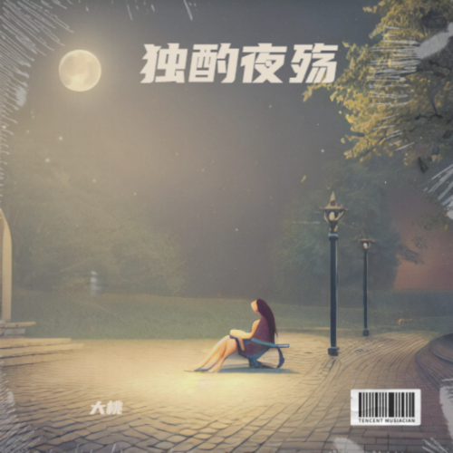 独酌夜殇