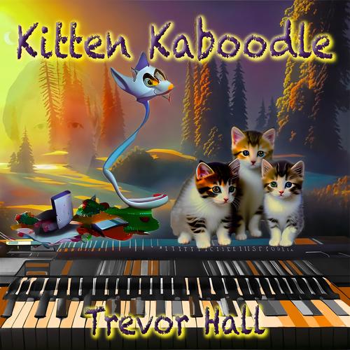 Kitten Kaboodle