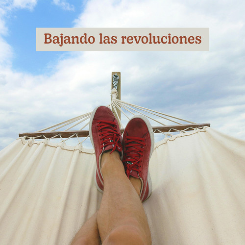 Bajando las revoluciones